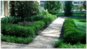 Classic Landscape Design for Formal Philadelphia Gardens