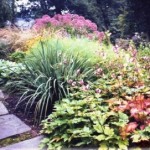 Year-Round Landscape Designs for Main Line Homes