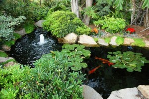 adding a water feature to your Philadelphia home landscape