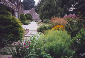 main-line-garden-design-16-months-later