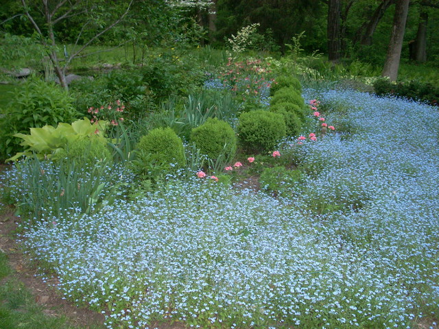 Naturalized woodland setting in suburban Philadelphia 