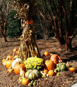 Aardweg Landscaping Main Line holiday decor with plants and pumpkins