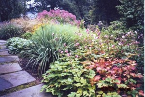 Perennial Garden designed by Aardweg Landscaping, Main Line, PA