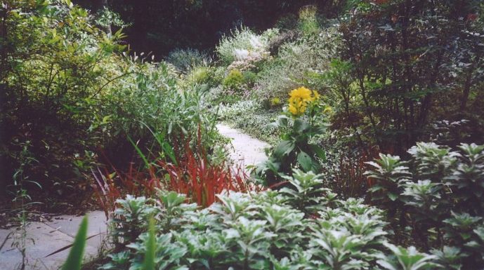 Mixed border landscaping maintenance 