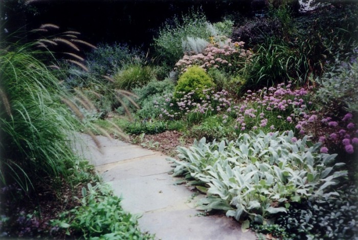 Perennial Garden
