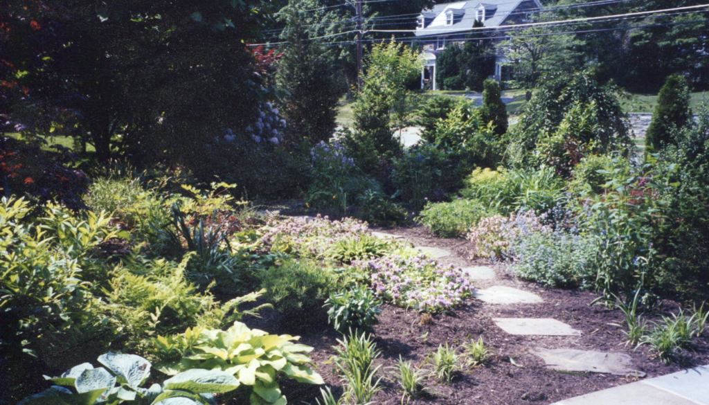 Privacy barrier provided by plants