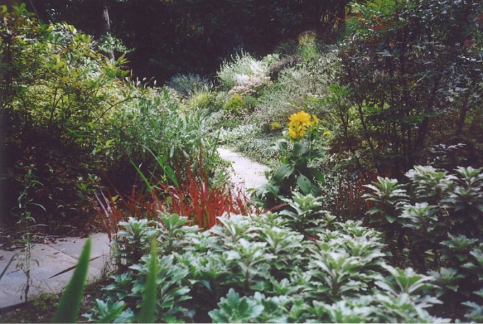 Bright greenery along a paved pathway 