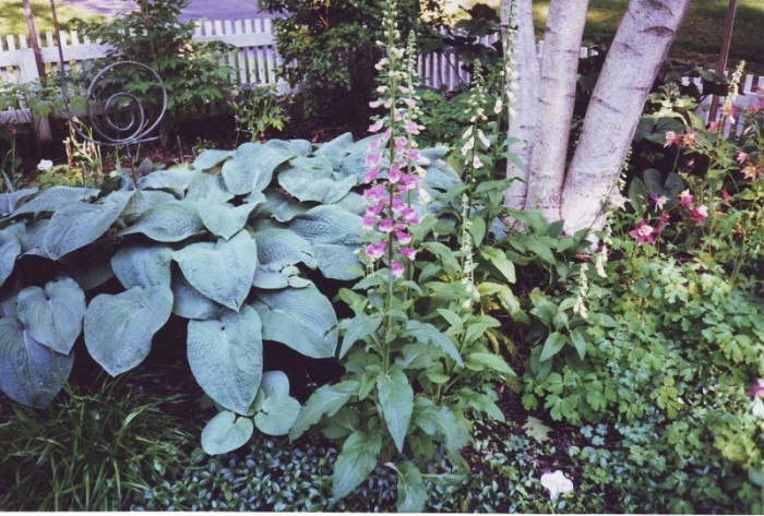 Mixed selection of greenery in Philadelphia