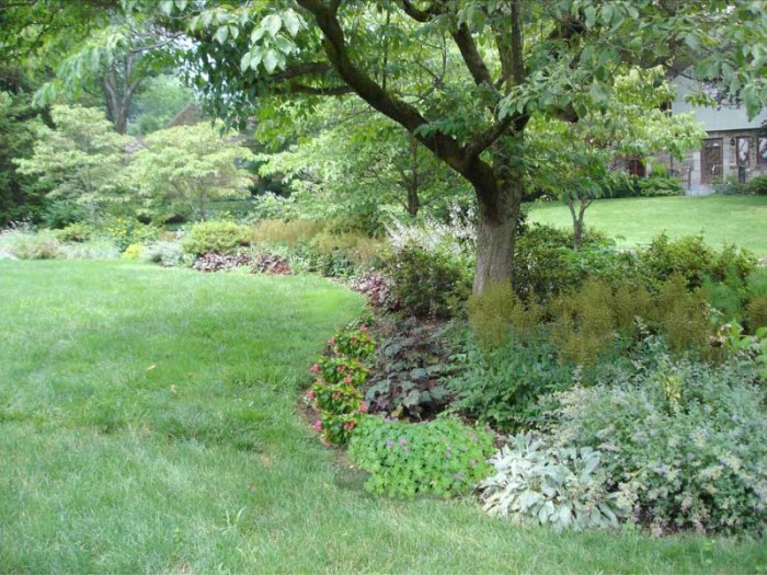 big, shady tree surrounded by landscaping