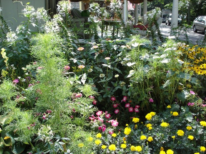 Philly Landscaping: Flower garden