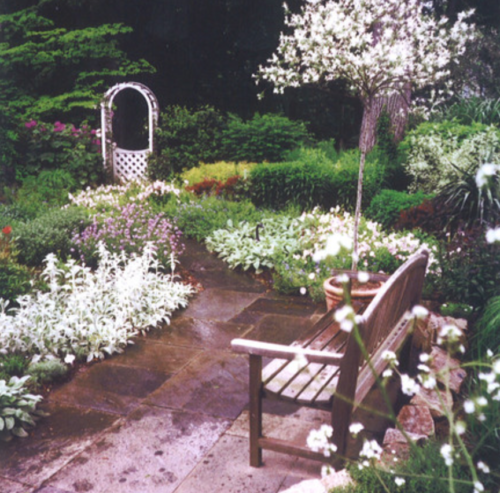 Beautiful garden pathway lined with flowers