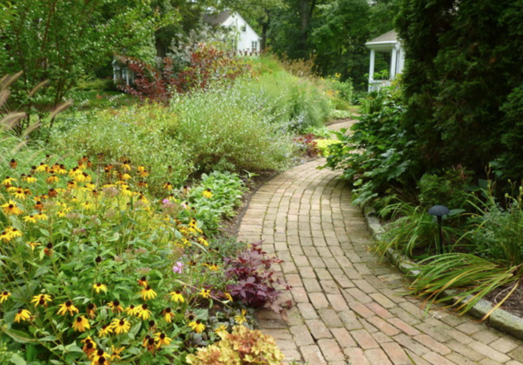 a walkway lined with flowers and plants