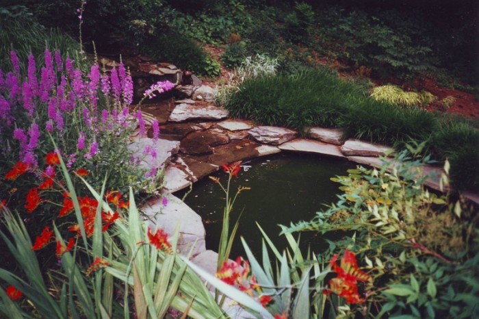 Landscaped water features