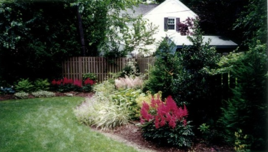 A wide variety of colorful flora