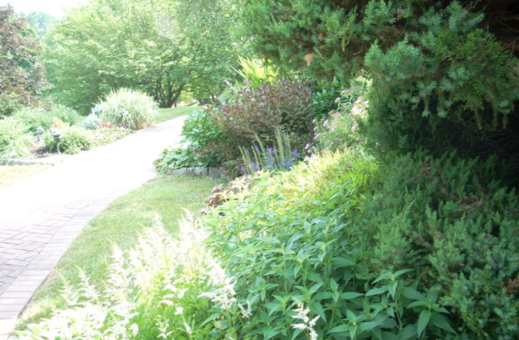 Local garden design services