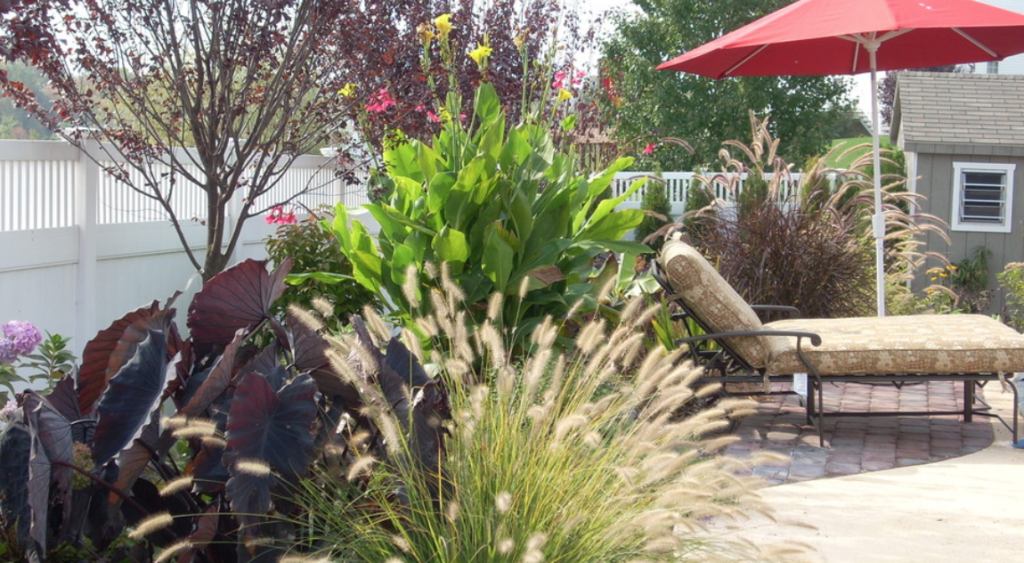 Tropical landscaping installation in suburban Philadelphia 