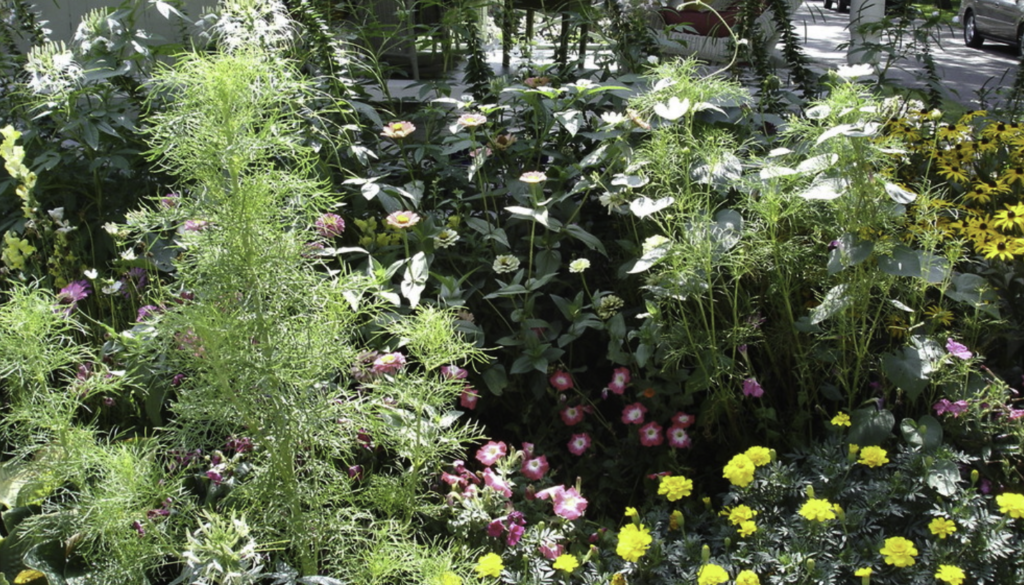 Landscaped garden in Philadelphia 