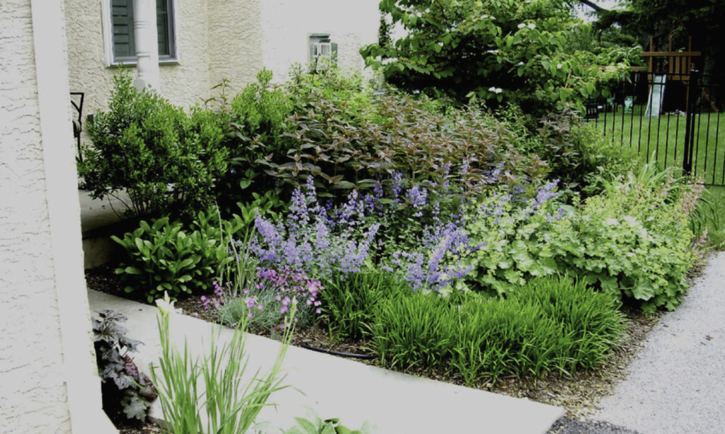 Landscaping design along the Main Line